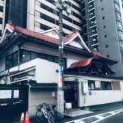 ヒメ日記 2025/04/03 15:17 投稿 渋谷 品川しろうさぎ