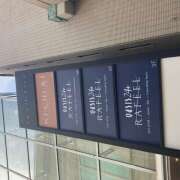 ヒメ日記 2025/05/20 16:38 投稿 渋谷 品川しろうさぎ