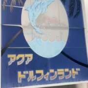 ヒメ日記 2025/11/03 15:51 投稿 渋谷 品川しろうさぎ