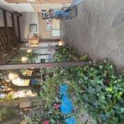 渋谷 サウナ日記　第274回　深大寺　湯守の里 品川しろうさぎ