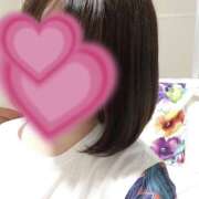 ヒメ日記 2024/12/28 18:06 投稿 ひまわり ゴールドクイーン