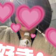 ヒメ日記 2025/01/28 11:12 投稿 ひまわり ゴールドクイーン