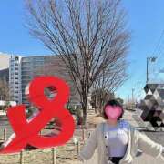 ヒメ日記 2025/01/29 10:36 投稿 ひまわり ゴールドクイーン