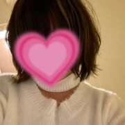 ヒメ日記 2025/02/02 13:32 投稿 ひまわり ゴールドクイーン