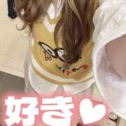 ヒメ日記 2025/02/08 20:53 投稿 ひまわり ゴールドクイーン