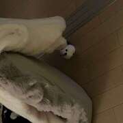 ヒメ日記 2025/02/11 16:31 投稿 ひまわり ゴールドクイーン