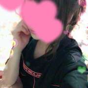 ヒメ日記 2025/02/24 03:06 投稿 ひまわり ゴールドクイーン