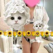 ヒメ日記 2025/03/03 01:34 投稿 ひまわり ゴールドクイーン