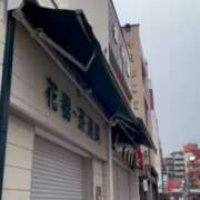 ヒメ日記 2025/03/04 15:55 投稿 ひまわり ゴールドクイーン