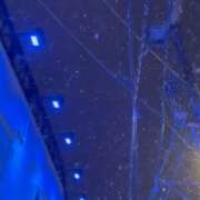 ヒメ日記 2025/03/04 23:51 投稿 ひまわり ゴールドクイーン