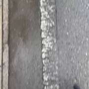 ヒメ日記 2025/03/05 15:14 投稿 ひまわり ゴールドクイーン