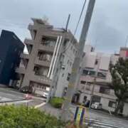 ヒメ日記 2025/03/15 23:00 投稿 ひまわり ゴールドクイーン