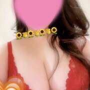 ヒメ日記 2025/04/01 18:00 投稿 ひまわり ゴールドクイーン