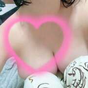 ヒメ日記 2025/04/04 01:13 投稿 ひまわり ゴールドクイーン