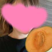 ヒメ日記 2025/04/25 15:53 投稿 ひまわり ゴールドクイーン