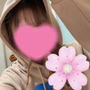 ヒメ日記 2025/05/06 20:24 投稿 ひまわり ゴールドクイーン