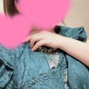 ヒメ日記 2025/06/05 14:19 投稿 ひまわり ゴールドクイーン