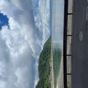 ヒメ日記 2025/09/17 12:02 投稿 ひまわり ゴールドクイーン