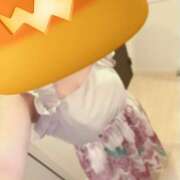 ヒメ日記 2025/09/27 16:03 投稿 ひまわり ゴールドクイーン