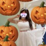 ヒメ日記 2025/10/29 16:09 投稿 ひまわり ゴールドクイーン