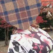 ヒメ日記 2025/11/02 14:30 投稿 ひまわり ゴールドクイーン