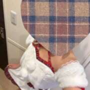 ヒメ日記 2025/11/09 16:00 投稿 ひまわり ゴールドクイーン