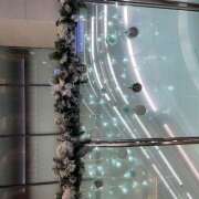 ヒメ日記 2025/11/11 22:32 投稿 ひまわり ゴールドクイーン