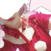 ヒメ日記 2025/11/20 16:12 投稿 ひまわり ゴールドクイーン