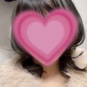 ヒメ日記 2025/12/12 15:58 投稿 ひまわり ゴールドクイーン