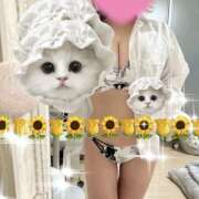 ひまわり 今日も ゴールドクイーン