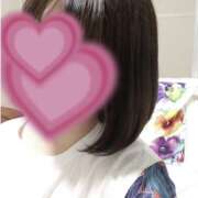 ヒメ日記 2025/12/22 15:55 投稿 ひまわり ゴールドクイーン