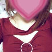 ヒメ日記 2025/12/26 15:51 投稿 ひまわり ゴールドクイーン