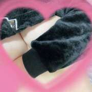 ヒメ日記 2025/12/27 15:49 投稿 ひまわり ゴールドクイーン