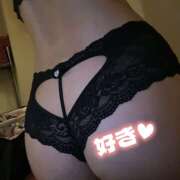 ヒメ日記 2026/01/08 16:02 投稿 ひまわり ゴールドクイーン