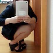 ヒメ日記 2026/05/06 15:26 投稿 ひまわり ゴールドクイーン