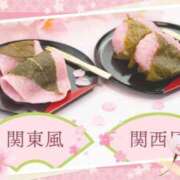 ヒメ日記 2025/03/29 20:30 投稿 山本久美 五十路マダムエクスプレス船橋店(カサブランカグループ)