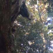 ヒメ日記 2026/01/05 21:02 投稿 山本久美 五十路マダムエクスプレス船橋店(カサブランカグループ)