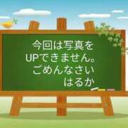 ヒメ日記 2025/03/25 07:53 投稿 はるか サンクチュアリ(上野)