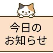 ヒメ日記 2025/07/30 21:33 投稿 はるか サンクチュアリ(上野)