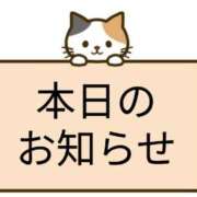 ヒメ日記 2025/11/12 15:45 投稿 はるか サンクチュアリ(上野)