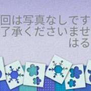 ヒメ日記 2026/01/07 07:45 投稿 はるか サンクチュアリ(上野)