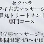 ヒメ日記 2025/04/03 12:29 投稿 佐堂優樹 名古屋Ｍ性感 ルーフ倶楽部