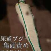 ヒメ日記 2025/04/24 07:56 投稿 佐堂優樹 名古屋Ｍ性感 ルーフ倶楽部