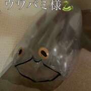 ヒメ日記 2026/03/07 13:36 投稿 佐堂優樹 名古屋Ｍ性感 ルーフ倶楽部