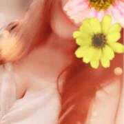 ヒメ日記 2025/03/20 01:42 投稿 ほしな 人妻本舗愛のしずく名古屋店