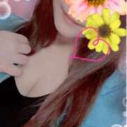 ヒメ日記 2025/04/16 09:59 投稿 ほしな 人妻本舗愛のしずく名古屋店