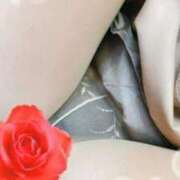 ヒメ日記 2026/01/22 14:30 投稿 ほしな 人妻本舗愛のしずく名古屋店