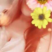 ヒメ日記 2026/01/25 07:45 投稿 ほしな 人妻本舗愛のしずく名古屋店