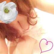 ヒメ日記 2026/03/08 12:07 投稿 ほしな 人妻本舗愛のしずく名古屋店