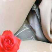 ヒメ日記 2026/03/14 19:52 投稿 ほしな 人妻本舗愛のしずく名古屋店